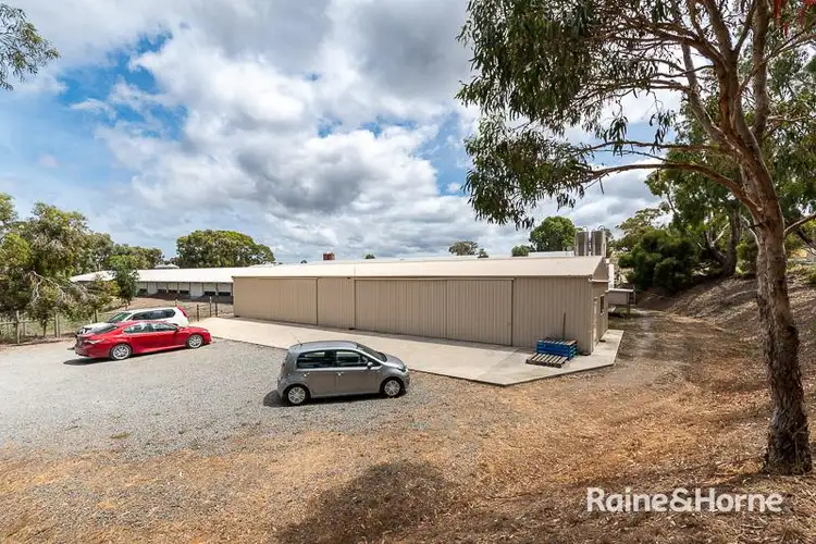 Fourth view of Homely rural property listing, 67 Brookmans Road, Blewitt Springs SA 5171