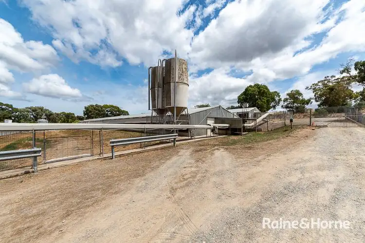 Fifth view of Homely rural property listing, 67 Brookmans Road, Blewitt Springs SA 5171