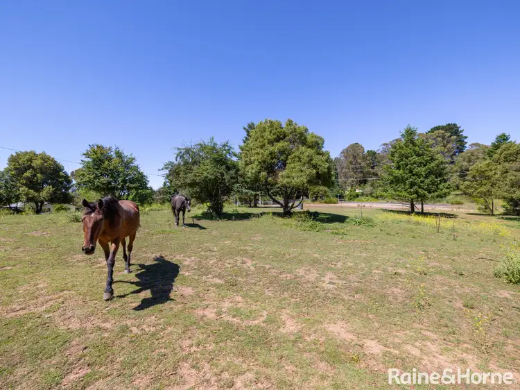 Main view of Homely studio listing, 28 Newton Street, Sunny Corner NSW 2795