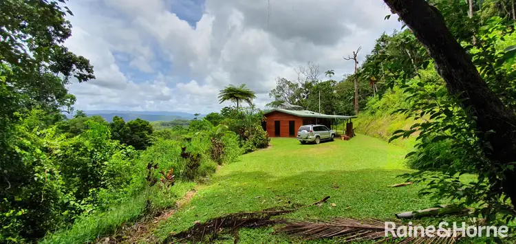 Second view of Homely house listing, 140 George Road, FOREST CREEK, Daintree QLD 4873