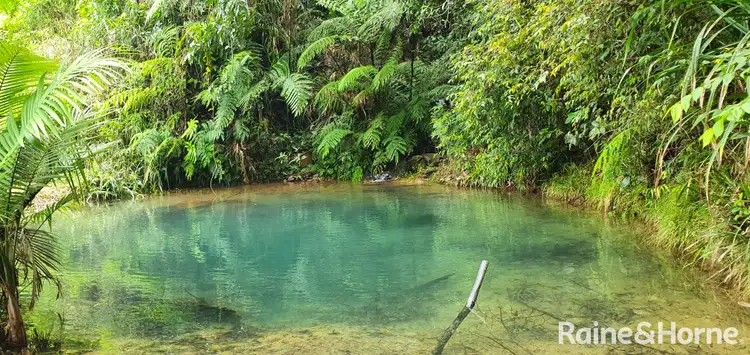 Fifth view of Homely house listing, 140 George Road, FOREST CREEK, Daintree QLD 4873