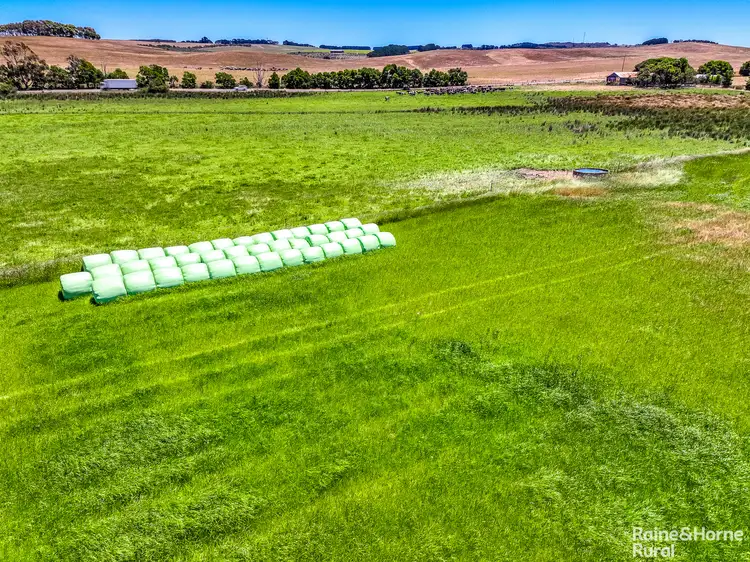 Third view of Homely rural property listing, 407 Goolwa Road, Mosquito Hill SA 5214