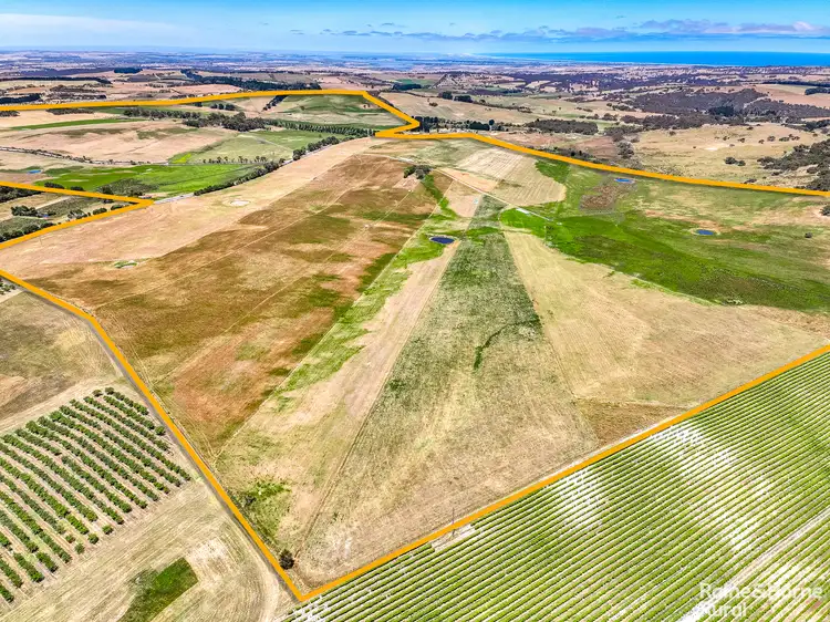 Fourth view of Homely rural property listing, 407 Goolwa Road, Mosquito Hill SA 5214