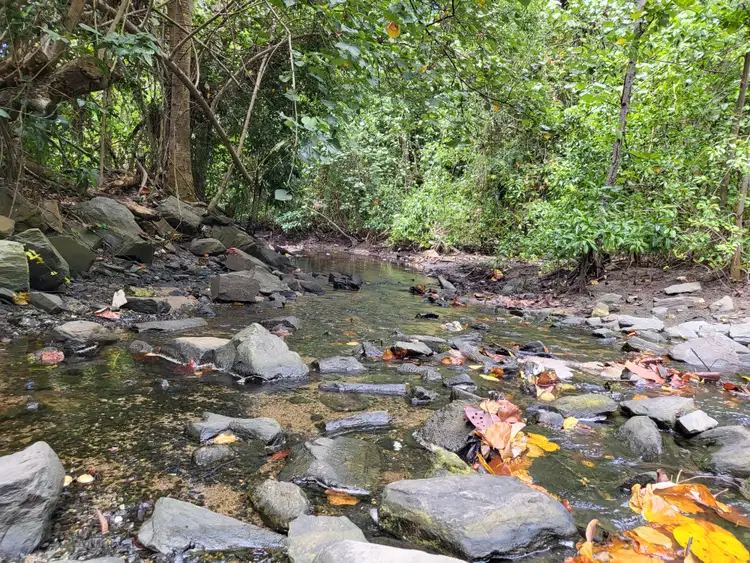 Sixth view of Homely land listing, 14 Dewal Close, Wonga Beach QLD 4873