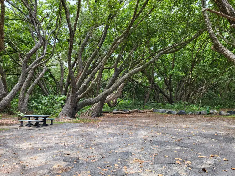 Seventh view of Homely land listing, 14 Dewal Close, Wonga Beach QLD 4873