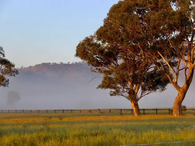 Fifth view of Homely other listing, "Hillview" 41 Bourke Street, Blandford NSW 2338
