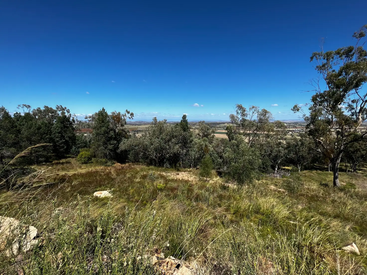 Main view of Homely rural property listing, 67 Ray Carter Drive, Quirindi NSW 2343