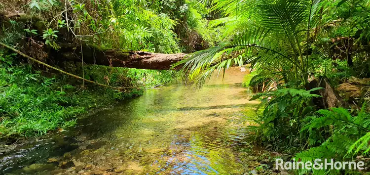 Second view of Homely house listing, 40 Fig Tree Road, COW BAY, Daintree QLD 4873