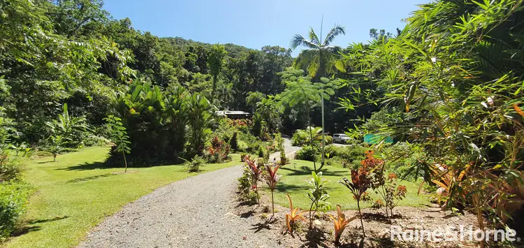 Fourth view of Homely house listing, 21 Zena Close, CAPE TRIBULATION, Daintree QLD 4873