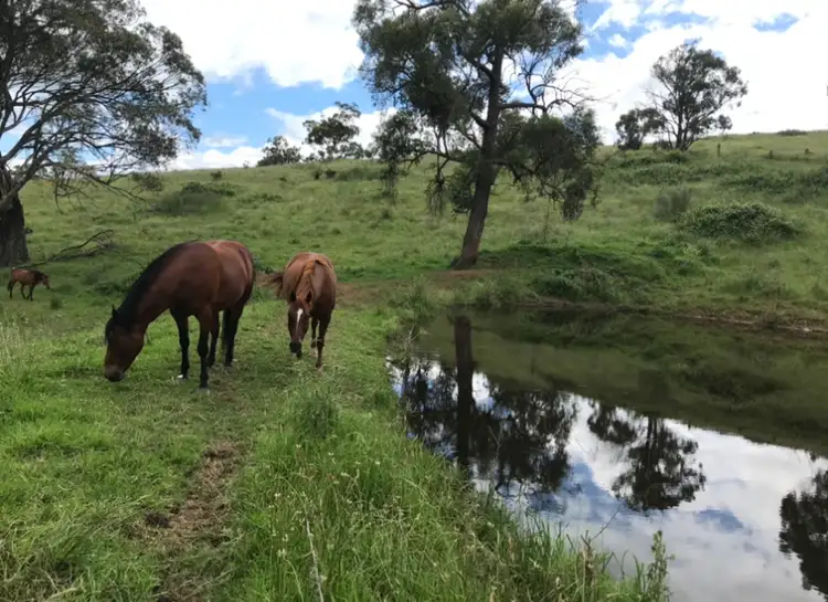 Lot 352 Splitters Gully Road, Nundle NSW 2340