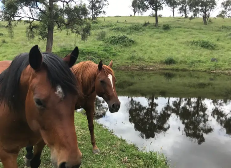 Second view of Homely rural property listing, Lot 352 Splitters Gully Road, Nundle NSW 2340