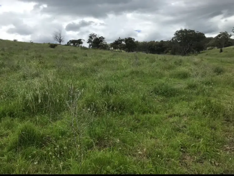Third view of Homely rural property listing, Lot 352 Splitters Gully Road, Nundle NSW 2340