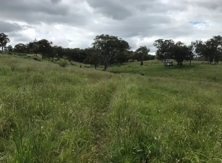 Fourth view of Homely rural property listing, Lot 352 Splitters Gully Road, Nundle NSW 2340