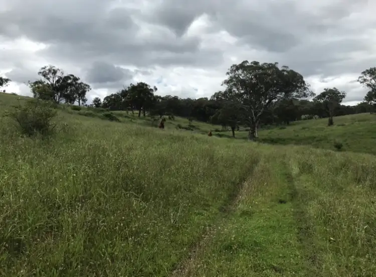Sixth view of Homely rural property listing, Lot 352 Splitters Gully Road, Nundle NSW 2340