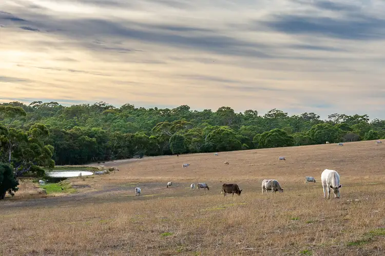Fourth view of Homely land listing, Lot 51 Pursell Road, Bugle Ranges SA 5251