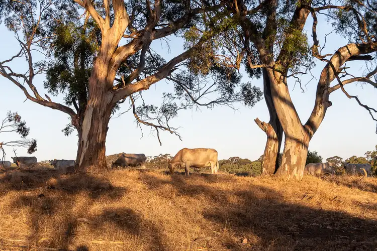 Seventh view of Homely land listing, Lot 51 Pursell Road, Bugle Ranges SA 5251