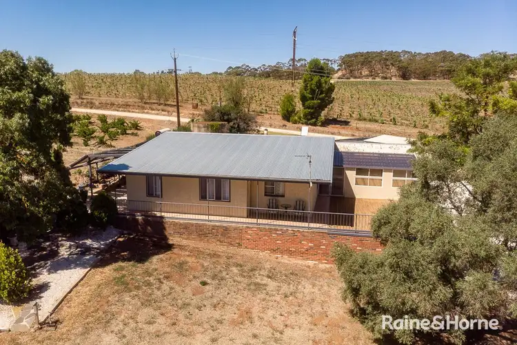 35 Noble Road, Clare SA 5453