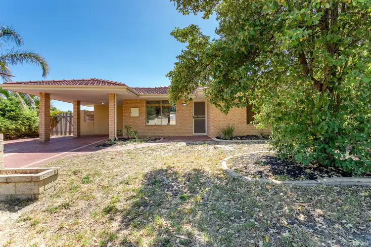 Main view of Homely house listing, 59 Lyrebird Loop, Seville Grove WA 6112