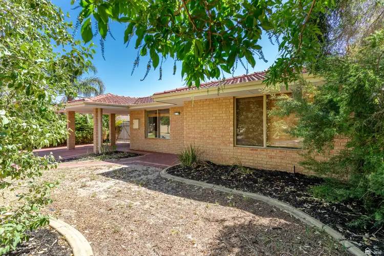 Second view of Homely house listing, 59 Lyrebird Loop, Seville Grove WA 6112