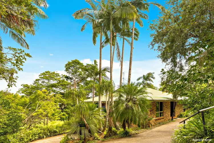 Second view of Homely house listing, 37 Hall Drive, Murwillumbah NSW 2484