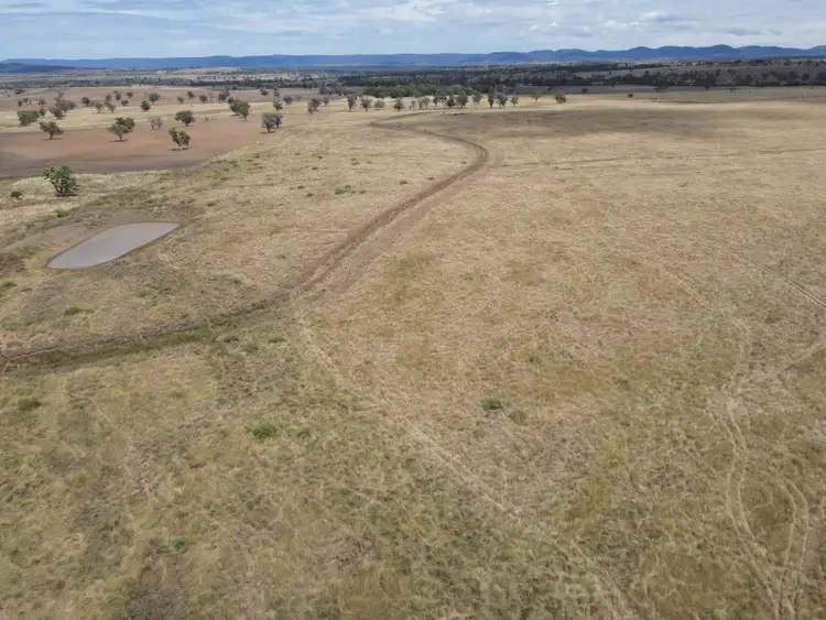 Fifth view of Homely rural property listing, 311 Gineroi Road, Bingara NSW 2404