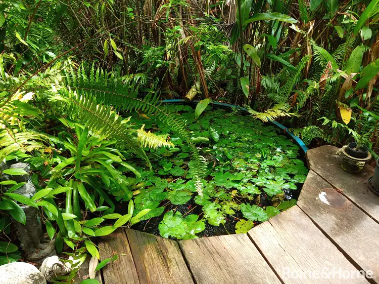 Fourth view of Homely house listing, 7 White Beech Road, COW BAY, Daintree QLD 4873