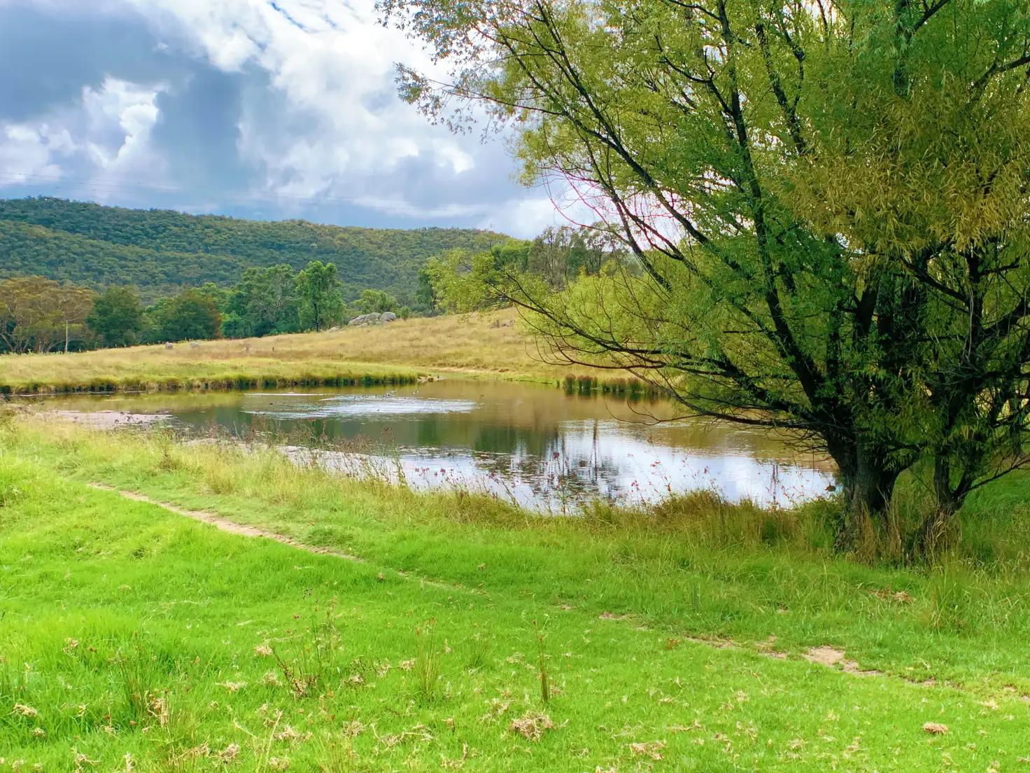 Main view of Homely house listing, 979 Watsons Creek Road, Bendemeer NSW 2355