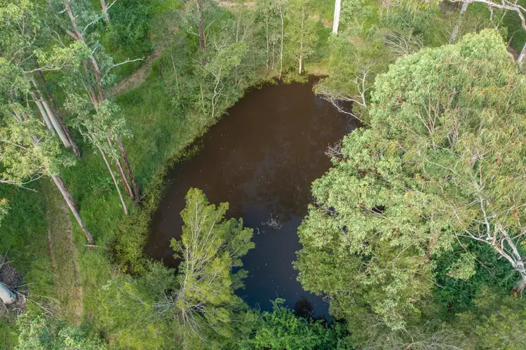 Fourth view of Homely land listing, LOT 4, 231 Central Lansdowne Rd, Lansdowne NSW 2430