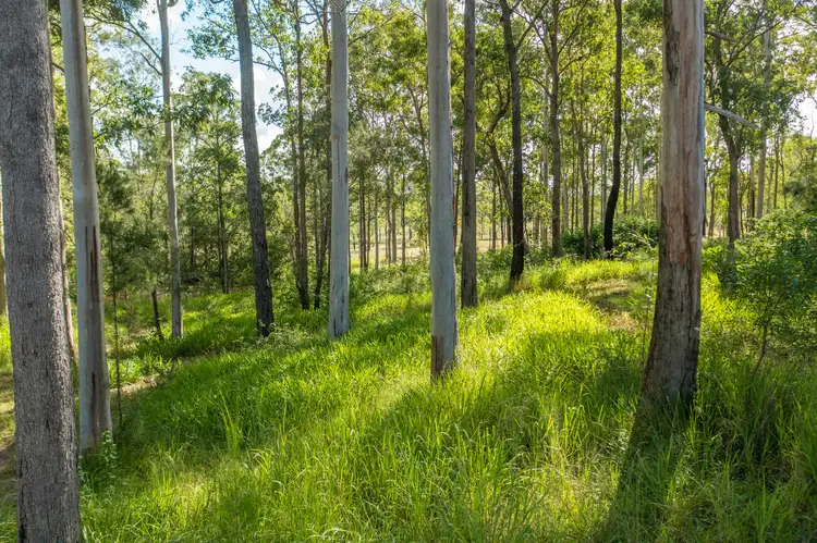 Seventh view of Homely land listing, LOT 4, 231 Central Lansdowne Rd, Lansdowne NSW 2430