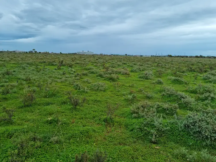 Fourth view of Homely land listing, Lot 505 Harris Road, Dublin SA 5501