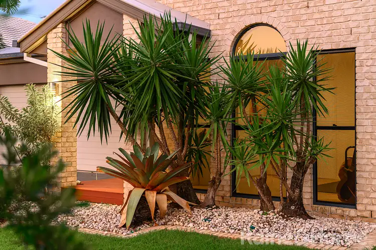 Fourth view of Homely house listing, 69 Cottonwood Circuit, North Lakes QLD 4509