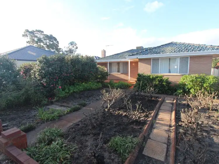 16 Chester Avenue, Dianella WA 6059