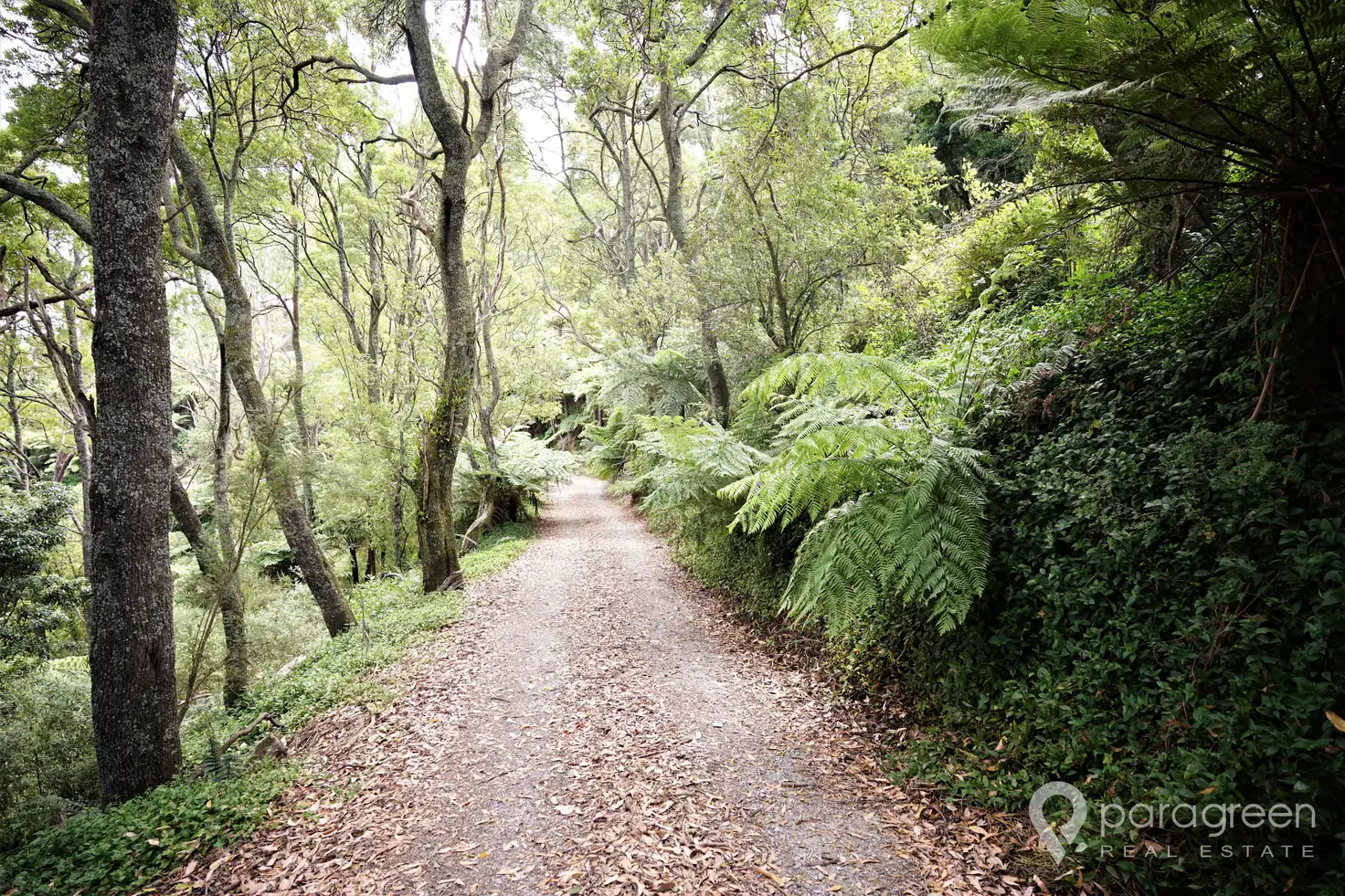 Main view of Homely rural property listing, 1470 Turtons Creek Road, Woorarra West VIC 3960