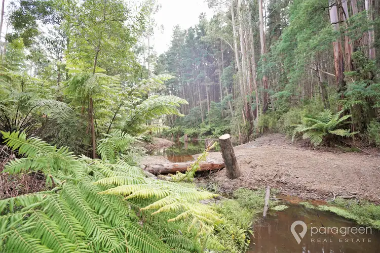 Fifth view of Homely rural property listing, 1470 Turtons Creek Road, Woorarra West VIC 3960