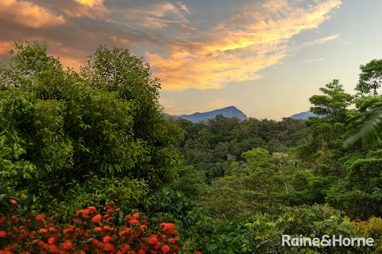 Fifth view of Homely house listing, 276 Mossman-Mt Molloy Road, Shannonvale QLD 4873