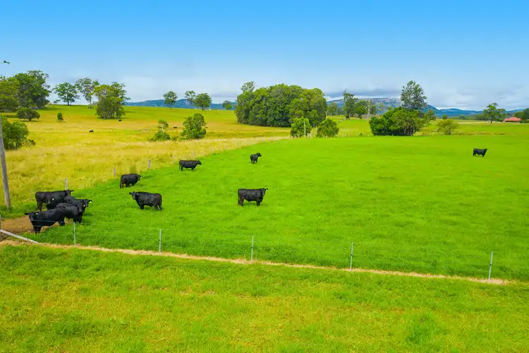 Third view of Homely rural property listing, 34 Carinya Road, Wauchope NSW 2446