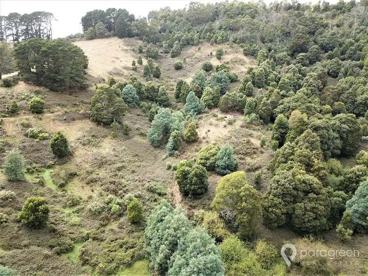 Second view of Homely rural property listing, 367 McCartins Road, Turtons Creek VIC 3960