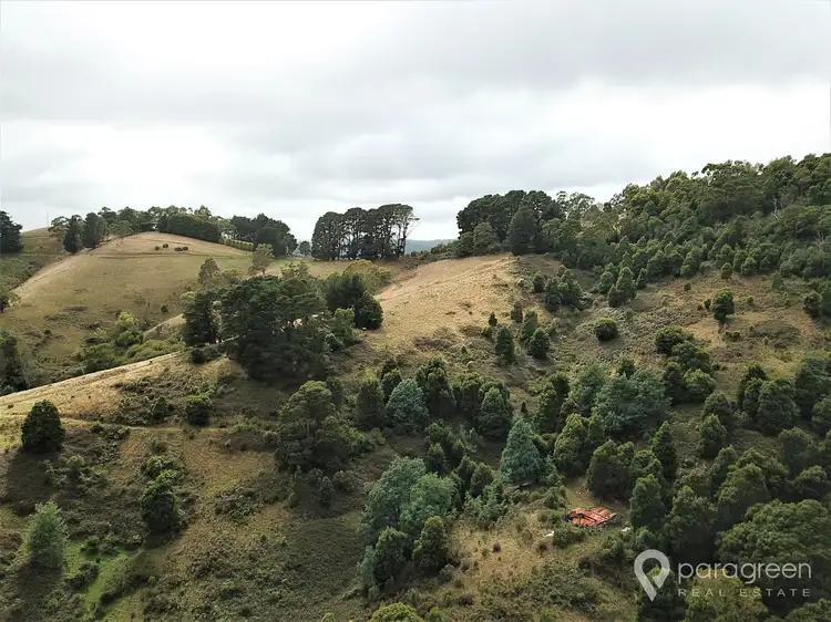 Third view of Homely rural property listing, 367 McCartins Road, Turtons Creek VIC 3960