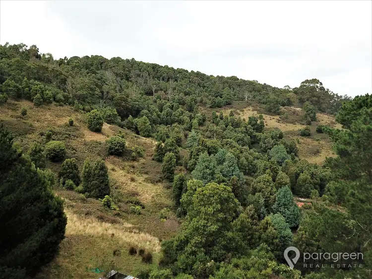 Fourth view of Homely rural property listing, 367 McCartins Road, Turtons Creek VIC 3960