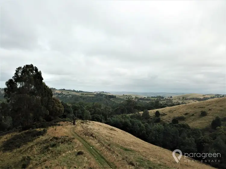 Sixth view of Homely rural property listing, 367 McCartins Road, Turtons Creek VIC 3960