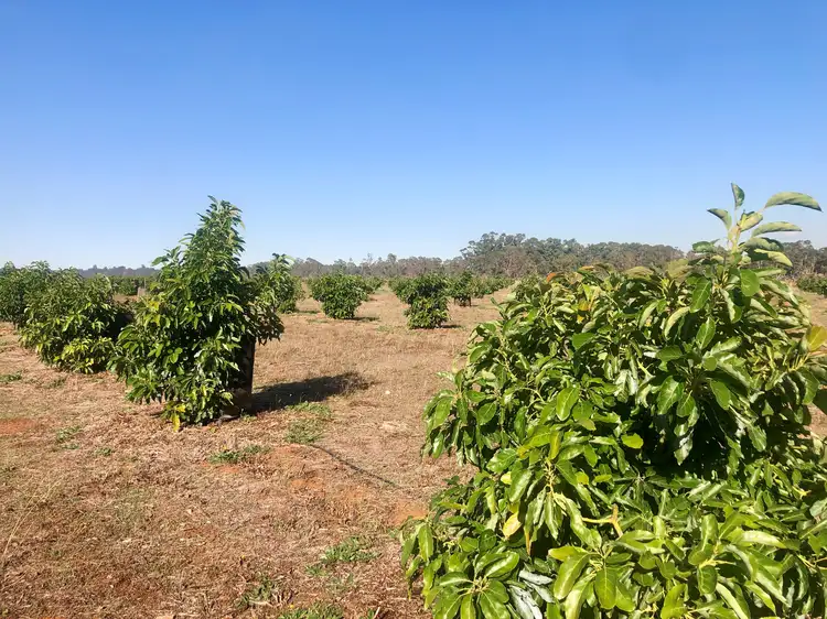 Lot 73 Payne Road, Kaloorup WA 6280