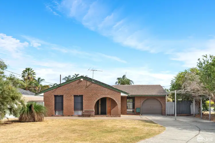 Main view of Homely house listing, 19 Sidcup Way, Kelmscott WA 6111