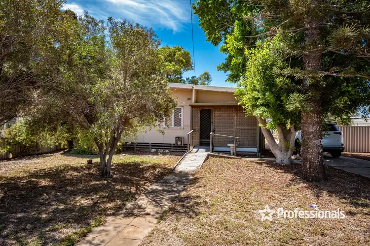 41 Felicia Street, Rangeway WA 6530
