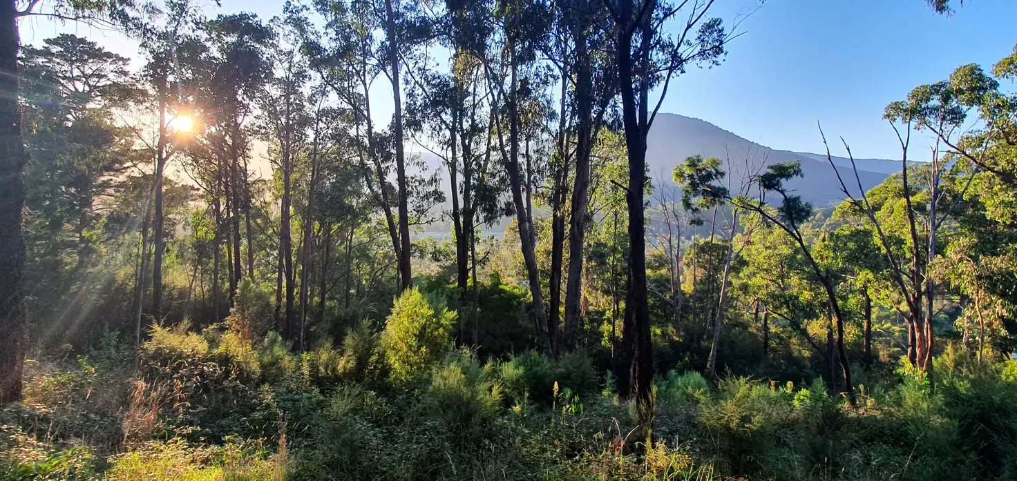 Main view of Homely land listing, 34 Juliet Crescent, Healesville VIC 3777