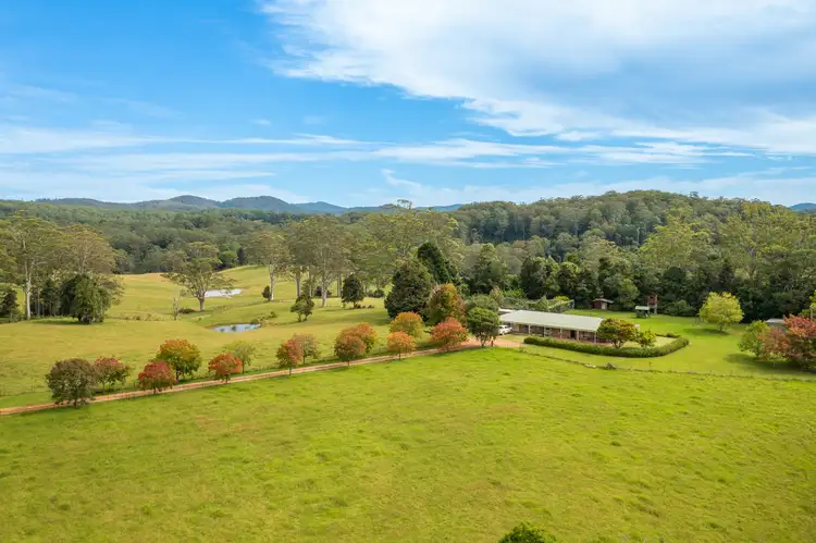 255 Cooks Rd, Elands NSW 2429