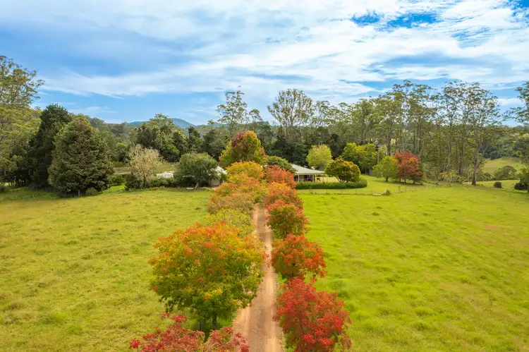 Second view of Homely rural property listing, 255 Cooks Rd, Elands NSW 2429