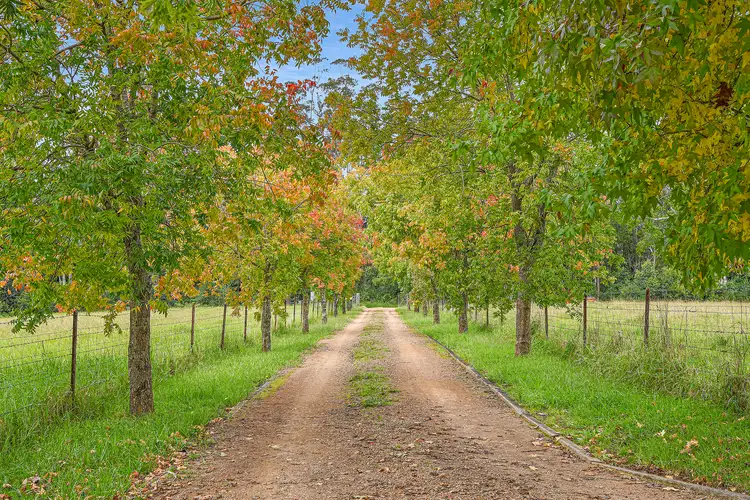 Third view of Homely rural property listing, 255 Cooks Rd, Elands NSW 2429