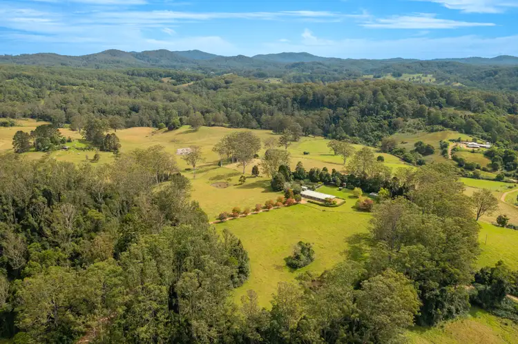 Fifth view of Homely rural property listing, 255 Cooks Rd, Elands NSW 2429