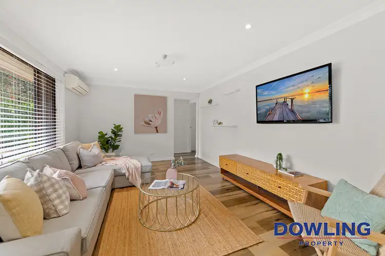 Third view of Homely house listing, 61 Kindlebark Drive, Medowie NSW 2318