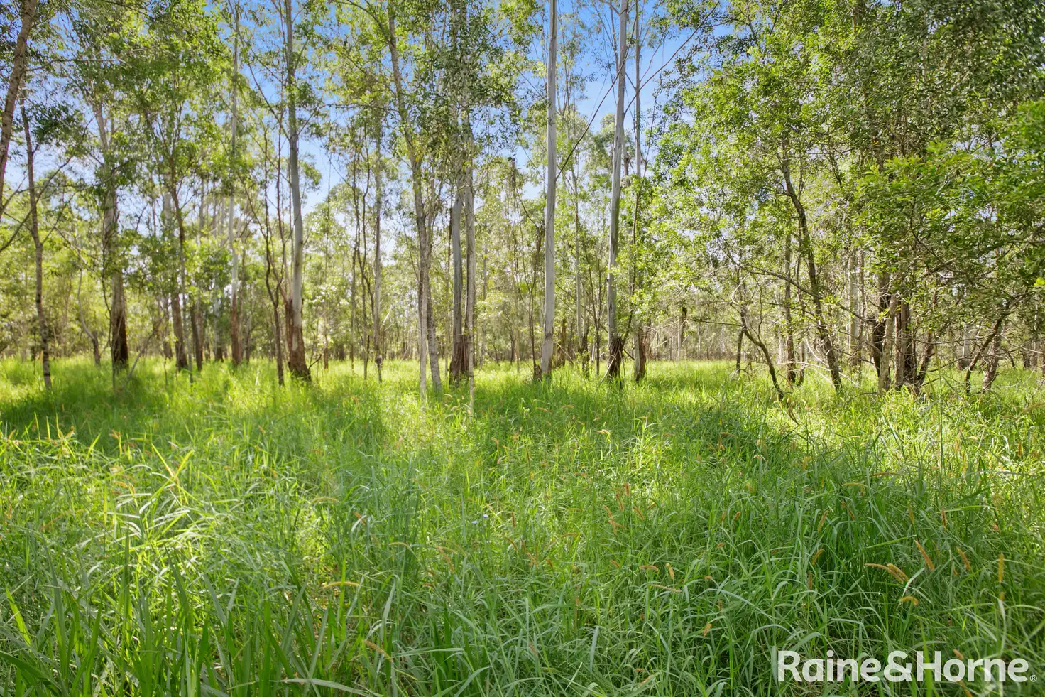 Main view of Homely land listing, 32 Cootharaba Downs Road, Cootharaba QLD 4565